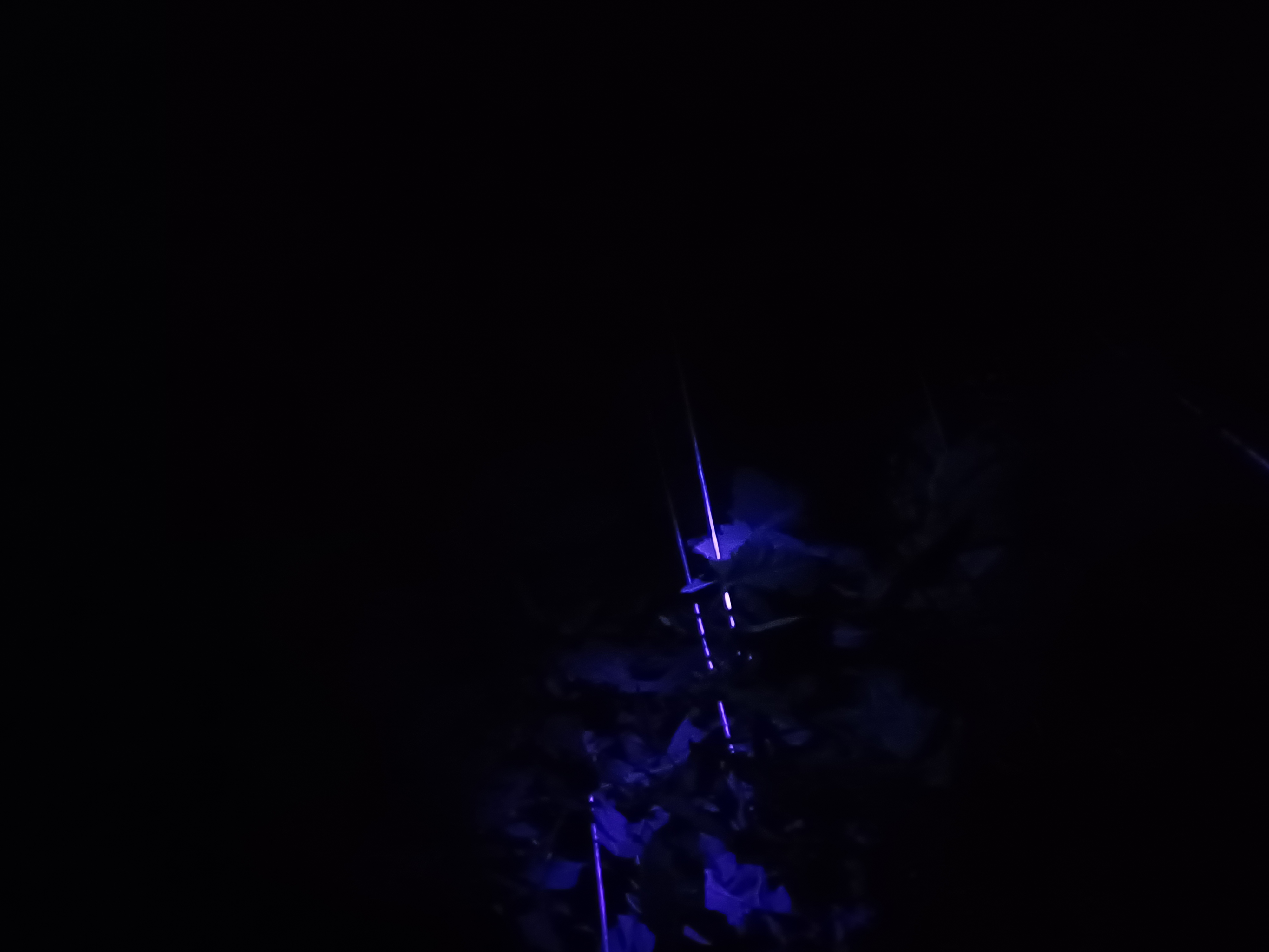 Wife looking for worms while I goof off taking pictures.